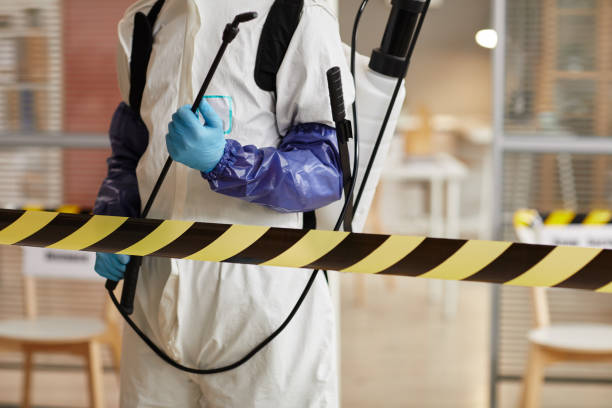 Professional Sewage Cleanup technician working in Wausa, NE